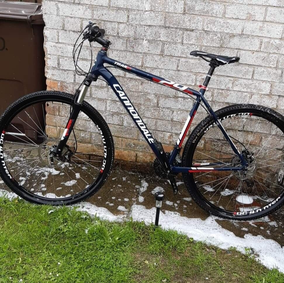 cannondale trail 5 29er